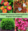 10 Gorgeous Compact Flowering Shrubs to Brighten Small Spaces