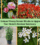 10 Unique Privacy Screen Shrubs to Upgrade Your Home’s Outdoor Sanctuary 