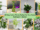 10 Easy Indoor Plants Perfect for Your Home Hydroponic Garden