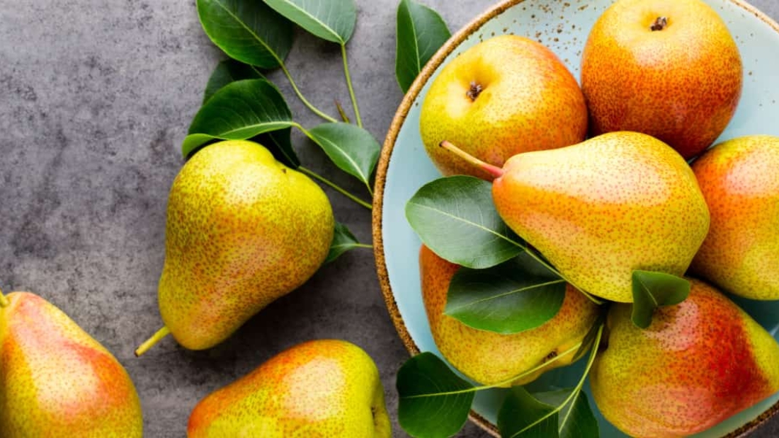 How to Grow Bartlett Pears for Juicy Harvests