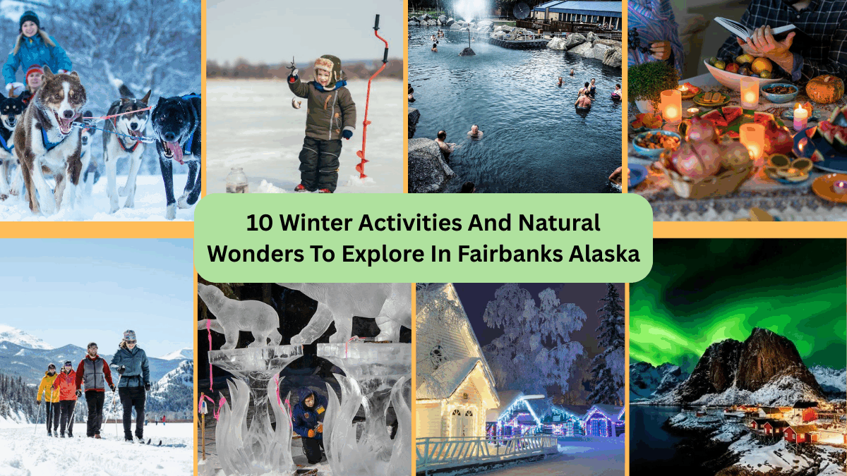 10 Winter Activities And Natural Wonders To Explore In Fairbanks Alaska