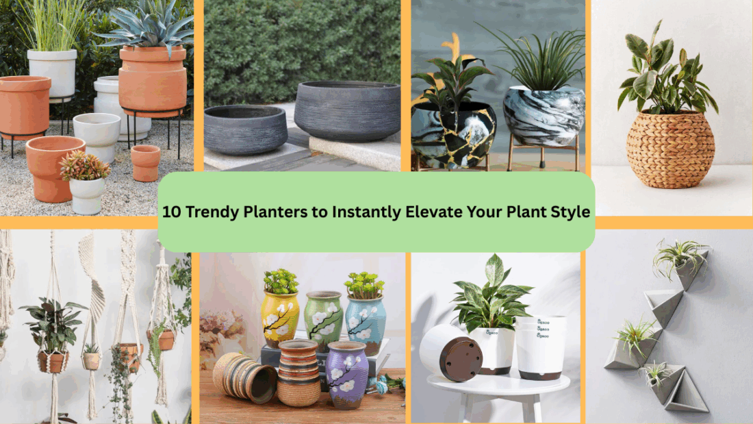 10 Trendy Planters to Instantly Elevate Your Plant Style
