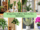 10 Easy Indoor Artificial Plants for Zero Maintenance