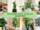 10 House Plants That’ll Level Up Your Instagram Feed