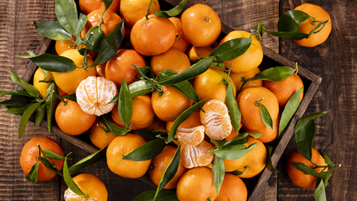 How to Grow Clementines in a Patio Pot: A Complete Guide