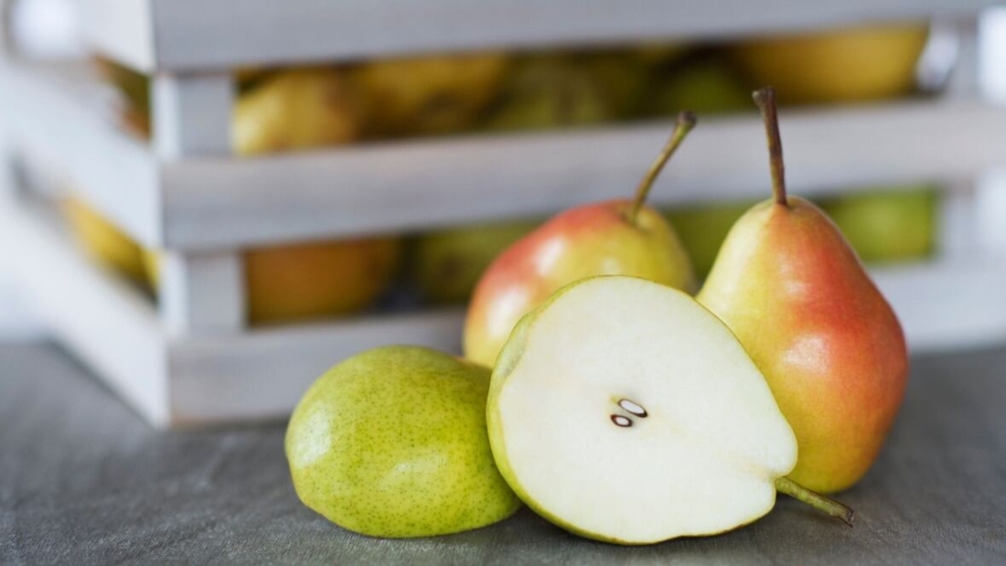 How to Grow Anjou Pears in Cold Climates