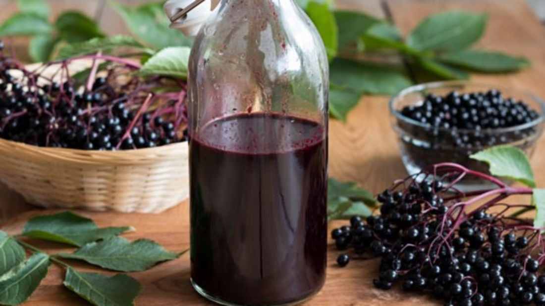 How to Grow Elderberries for Immune-Boosting Syrups: A Complete Gardener’s Guide