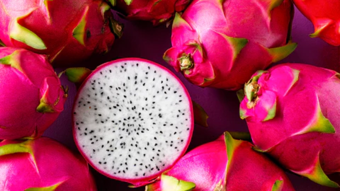 How to Grow Dragon Fruit in Warm Areas: A Complete Beginner’s Guide