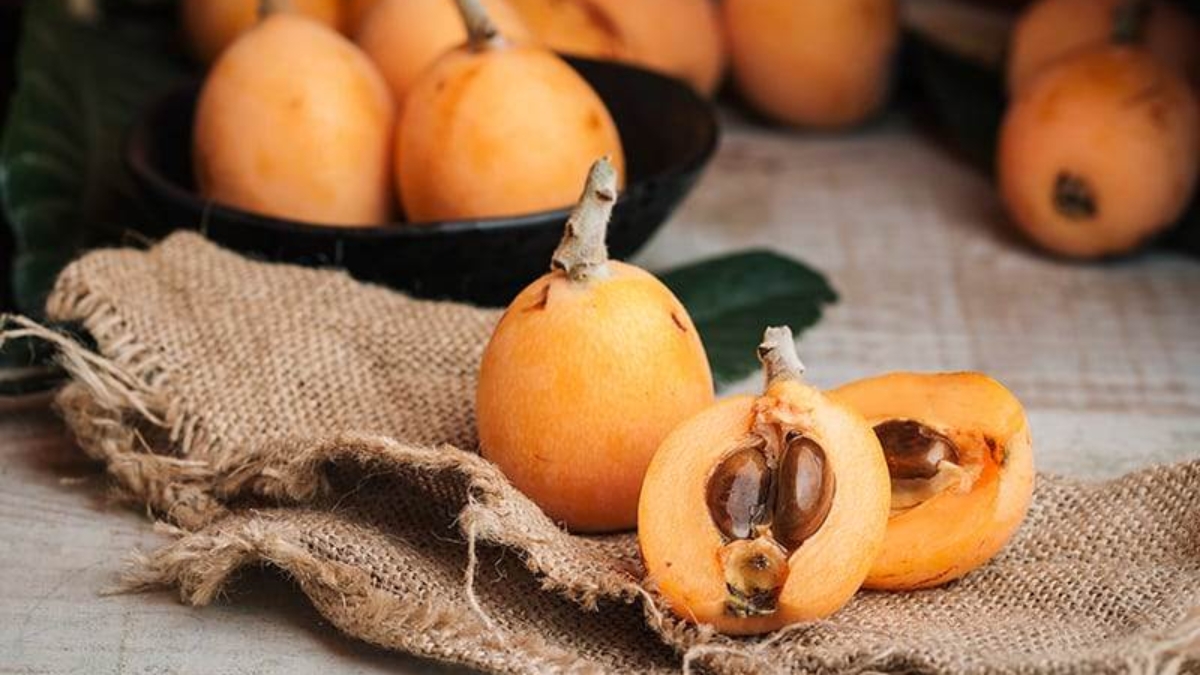 How to Grow Loquats in Warmer States