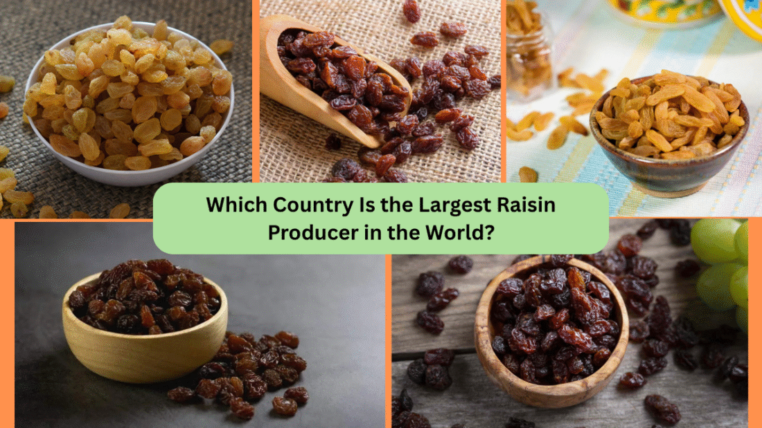 Which Country Is the Largest Raisin Producer in the World?