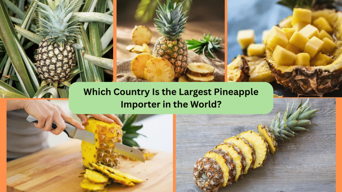 Which Country Is the Largest Pineapple Importer in the World?