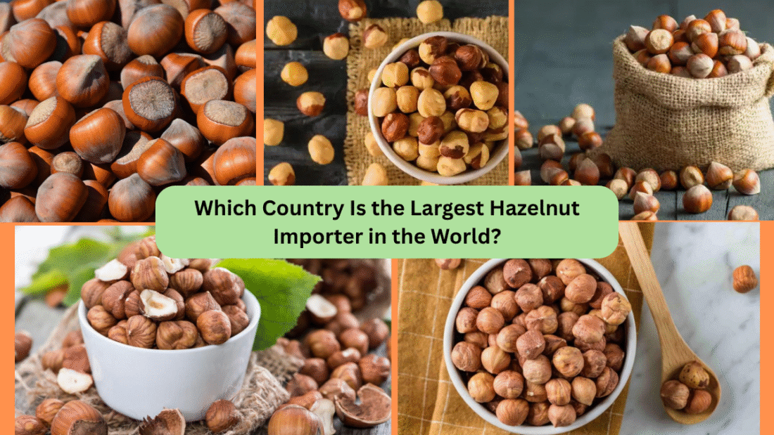 Which Country Is the Largest Hazelnut Importer in the World?