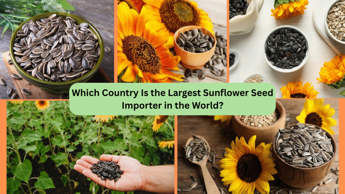 Which Country Is the Largest Sunflower Seed Importer in the World?