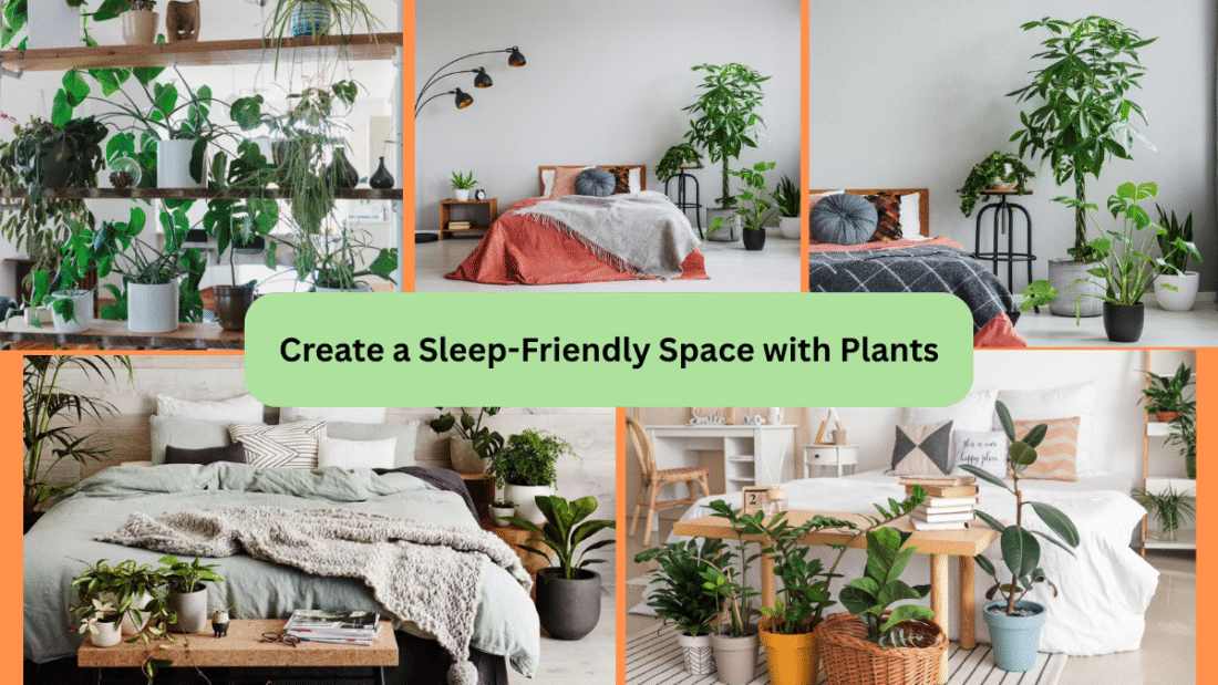 Create a Sleep-Friendly Space with Plants