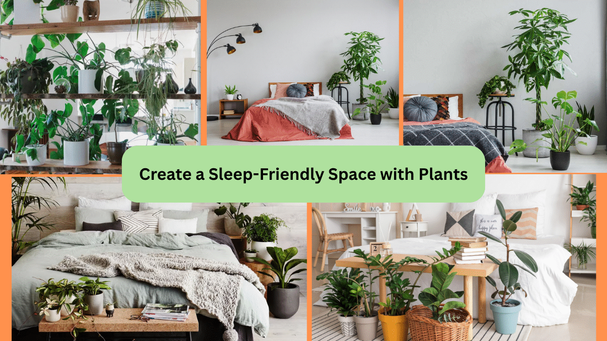 Create a Sleep-Friendly Space with Plants