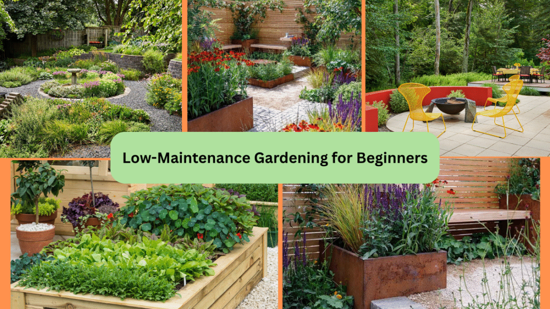 Low-Maintenance Gardening for Beginners