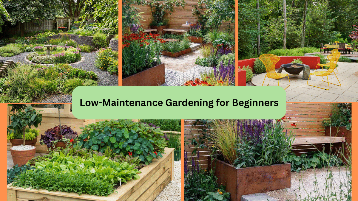 Low-Maintenance Gardening for Beginners
