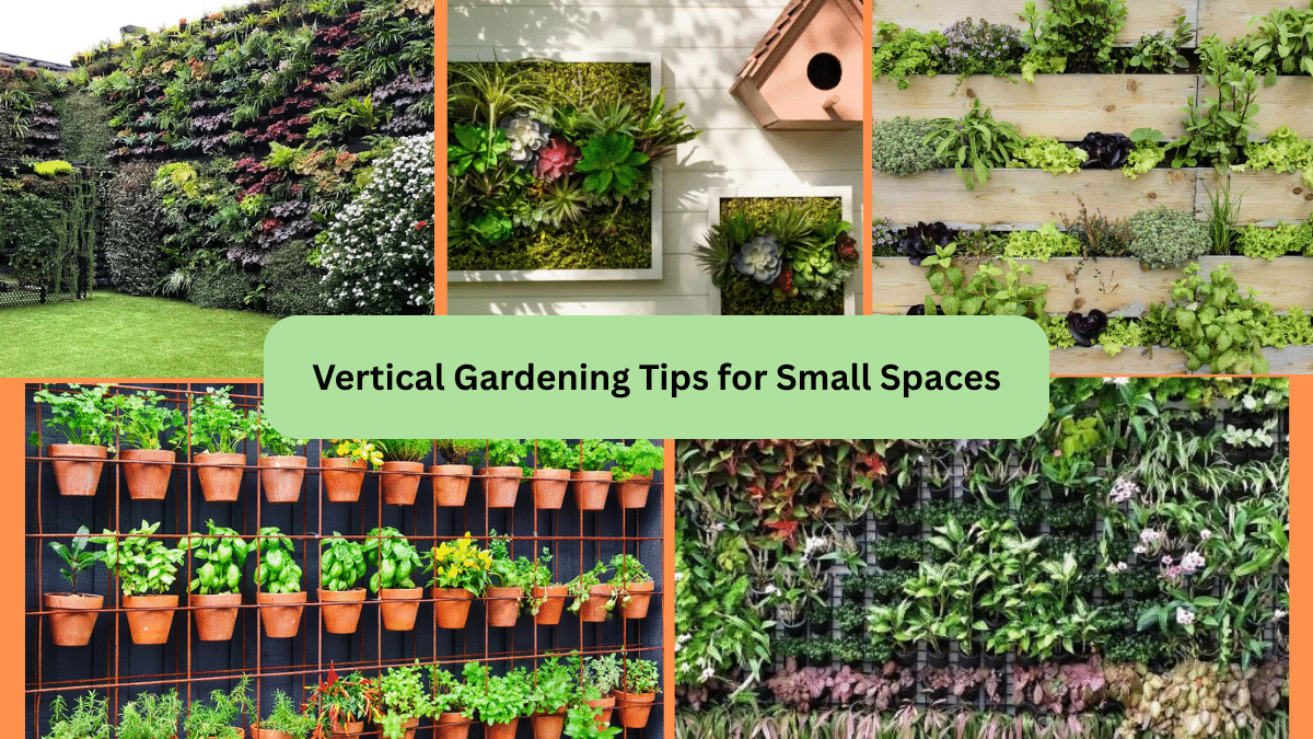 Vertical Gardening Tips for Small Spaces
