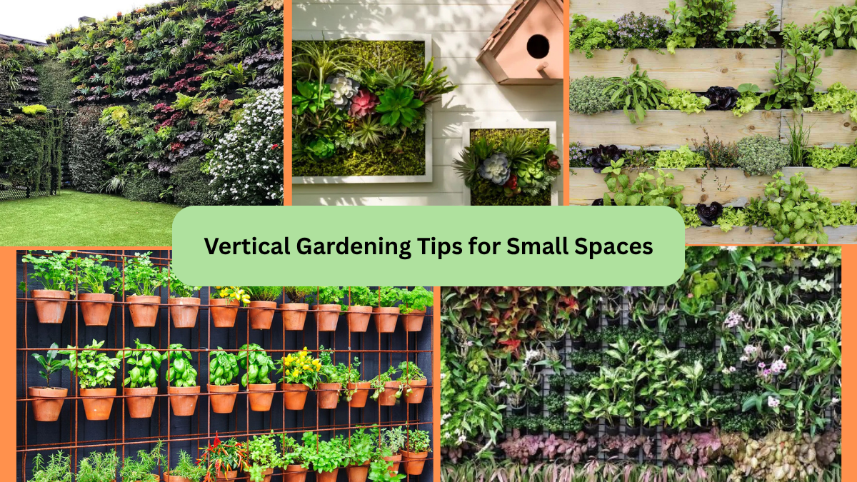 Vertical Gardening Tips for Small Spaces