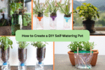 How to Create a DIY Self-Watering Pot