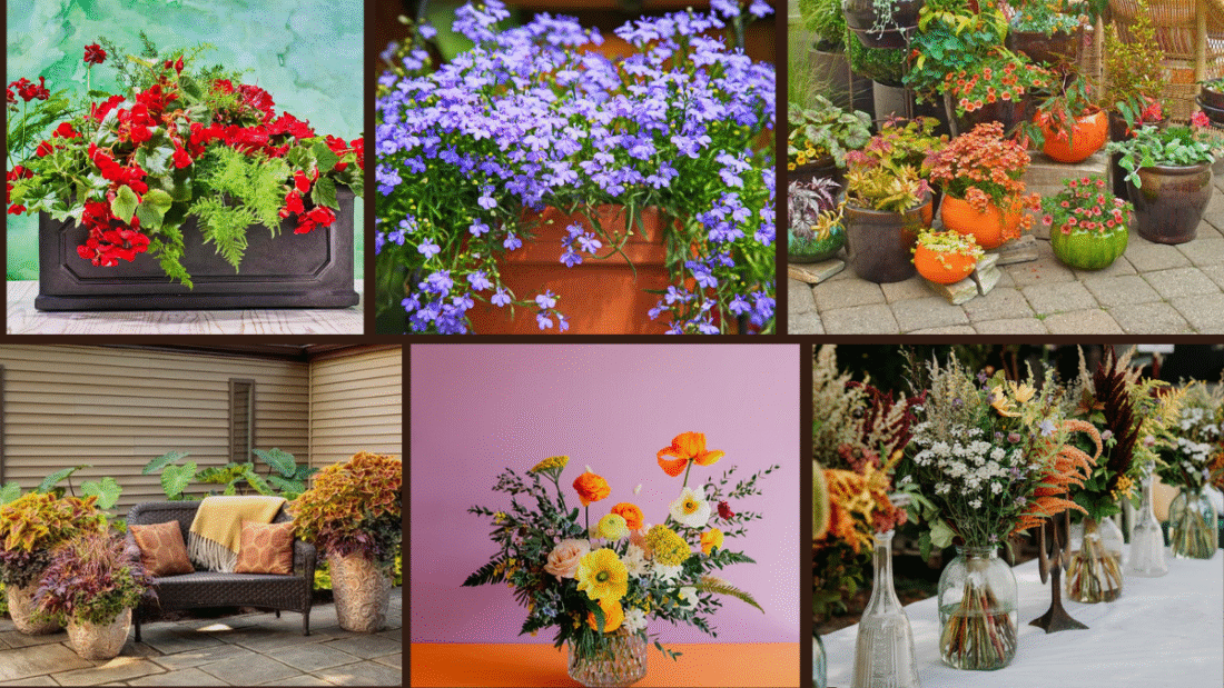 7 Front Porch Potted Plant Arrangement Ideas to Impress
