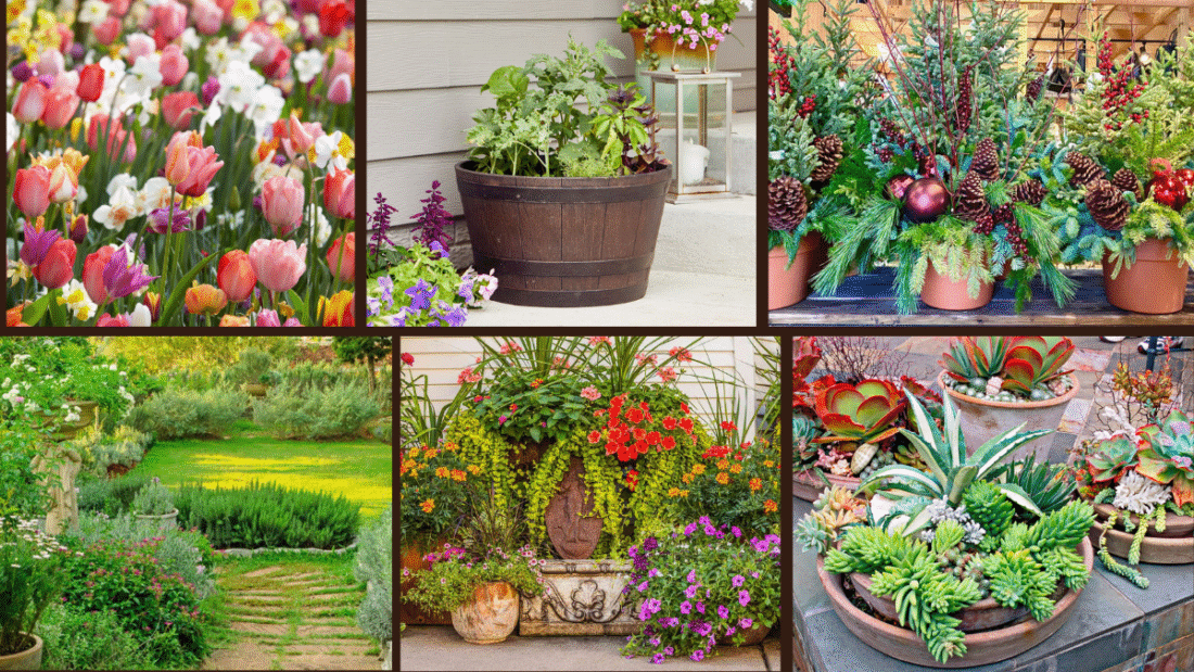 8 Garden Container Planting Ideas for Every Season