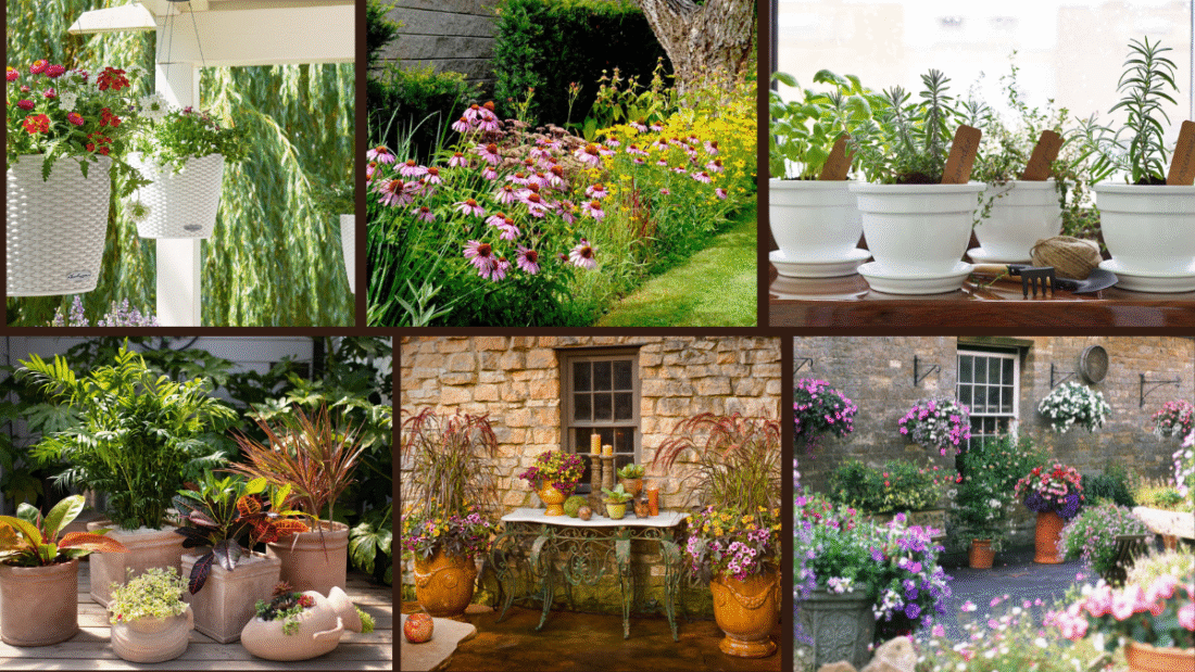 7 Ideas for Container Plants You’ll Adore
