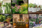 7 Ideas for Container Plants You’ll Adore