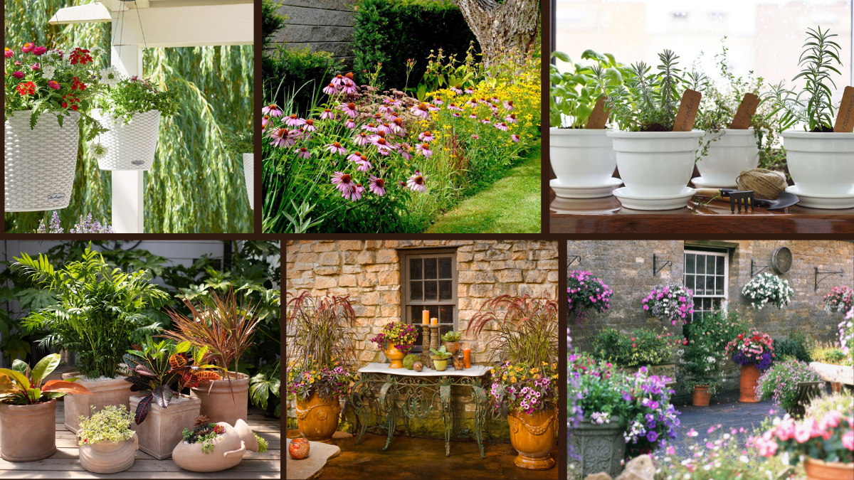 7 Ideas for Container Plants You’ll Adore