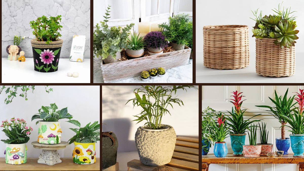 8 Stylish Ideas for Planter Pots to Showcase Plants