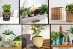 8 Stylish Ideas for Planter Pots to Showcase Plants