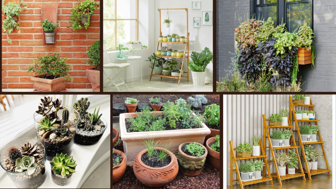 6 Indoor Garden Ideas for Apartments