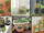 6 Indoor Garden Ideas for Apartments
