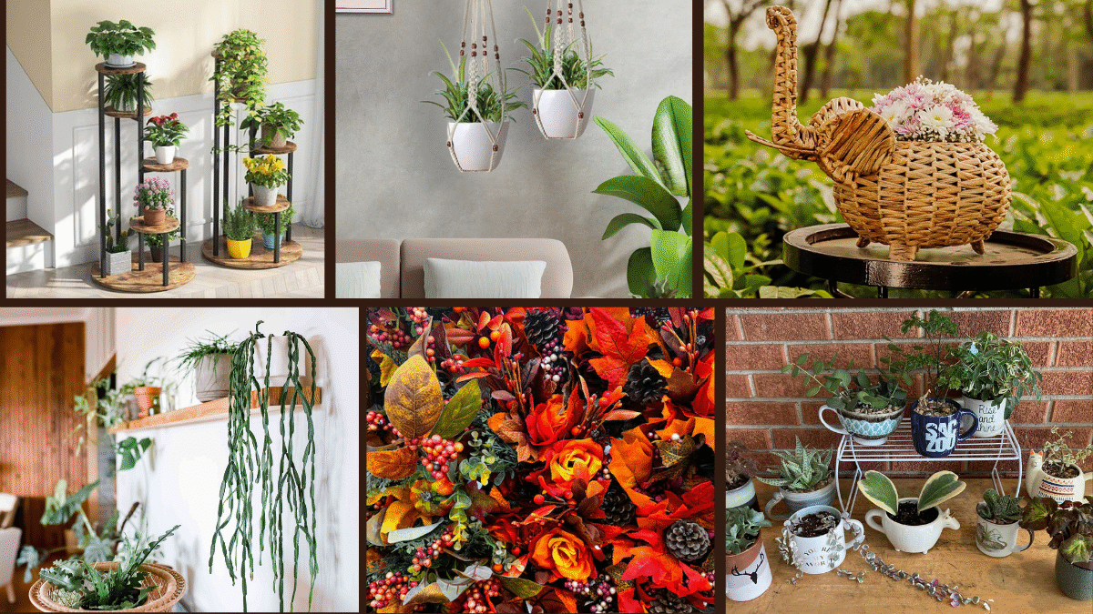 6 Indoor Plant Styling for Boho Decor