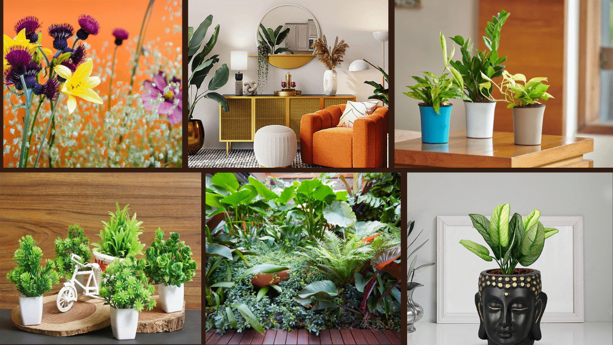 6 Design Tips: Matching Plant Pots to Decor