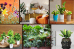 6 Design Tips: Matching Plant Pots to Decor