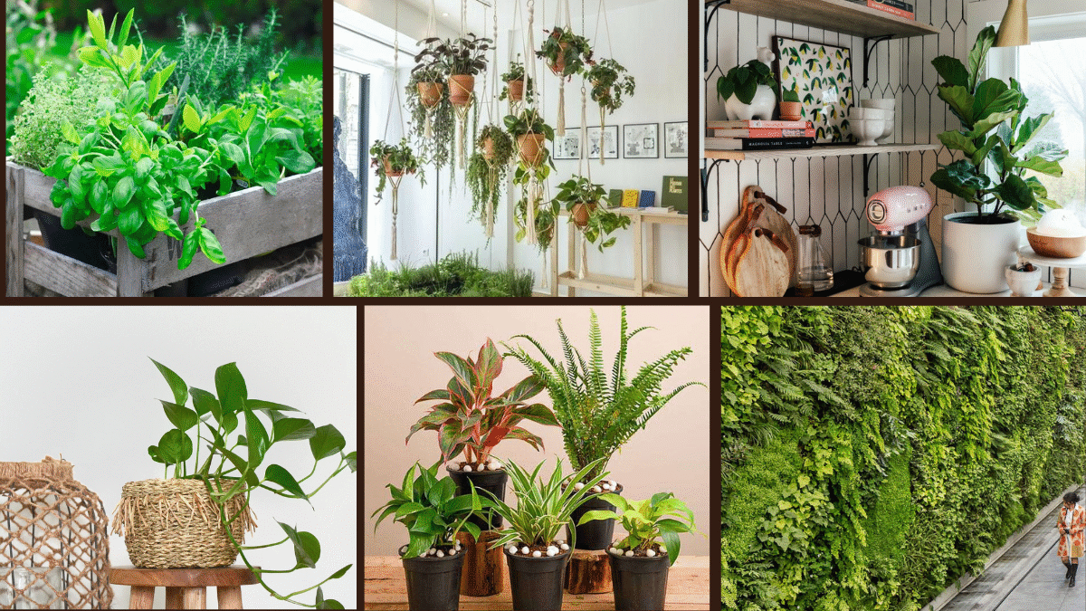 6 Turn Your Kitchen Into a Green Paradise