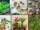 6 Turn Your Kitchen Into a Green Paradise