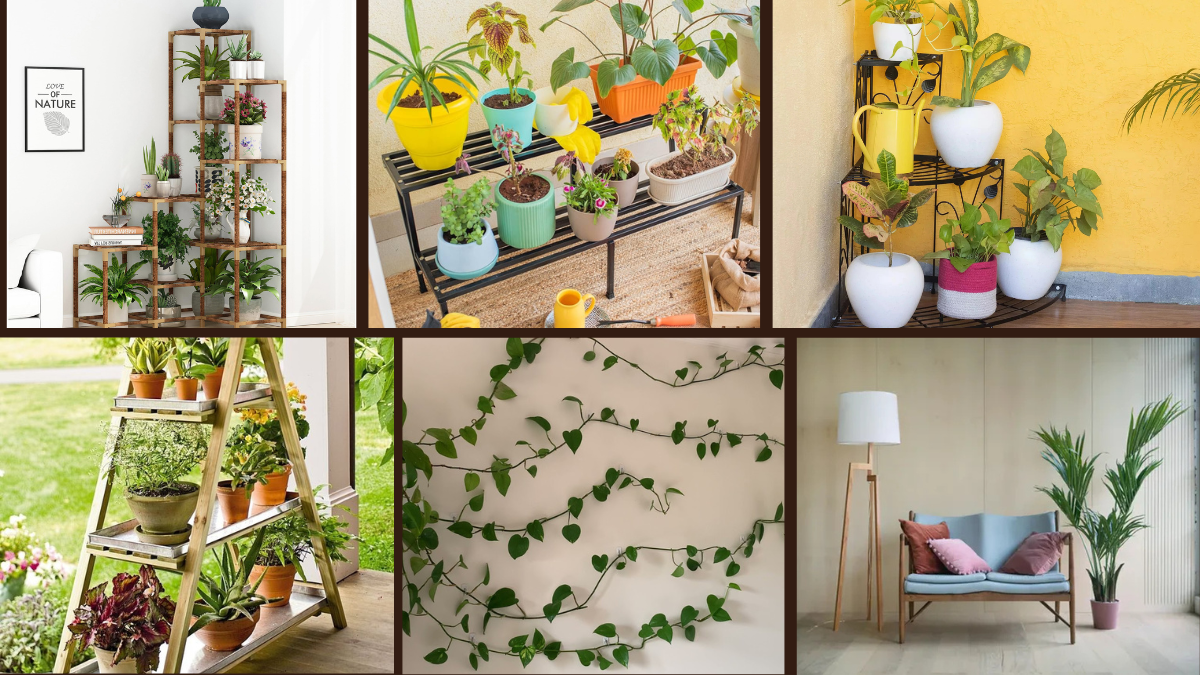 6 Corner Plant Styling: Make Use of Every Inch