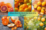 Where Does the World Get Most of Its Oranges?