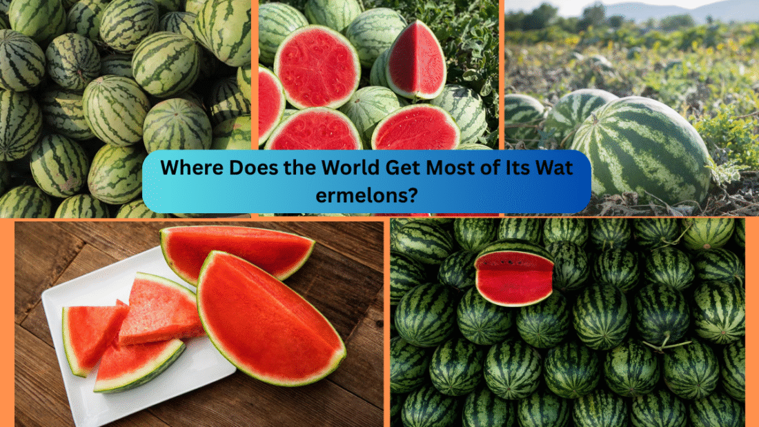 Where Does the World Get Most of Its Watermelons?