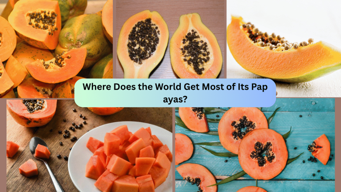 Where Does the World Get Most of Its Papayas?
