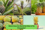 Where Does the World Get Most of Its Pineapples?