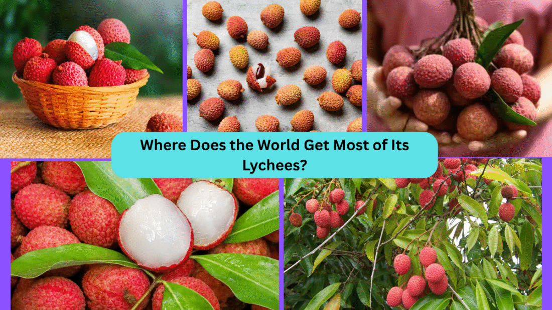 Where Does the World Get Most of Its Lychees?