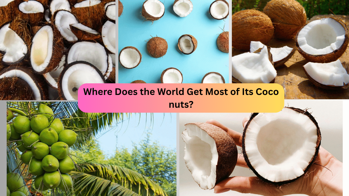 Where Does the World Get Most of Its Coconuts?