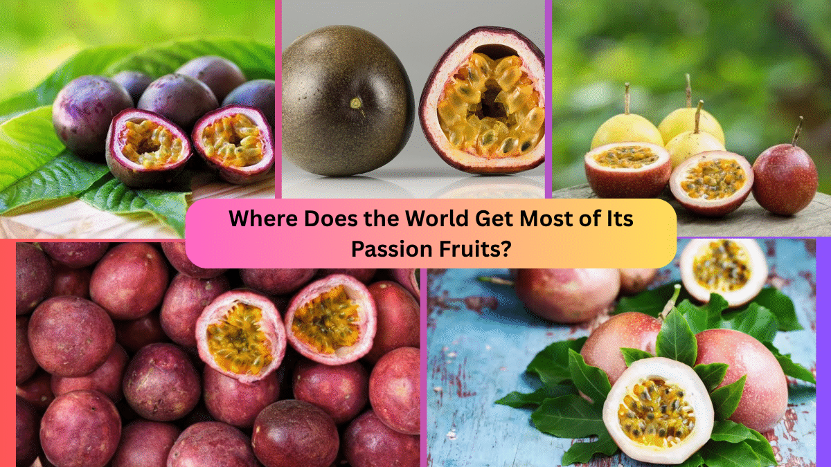 Where Does the World Get Most of Its Passion Fruits?