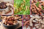 Which Country Is the Largest Tamarind Producer Globally?