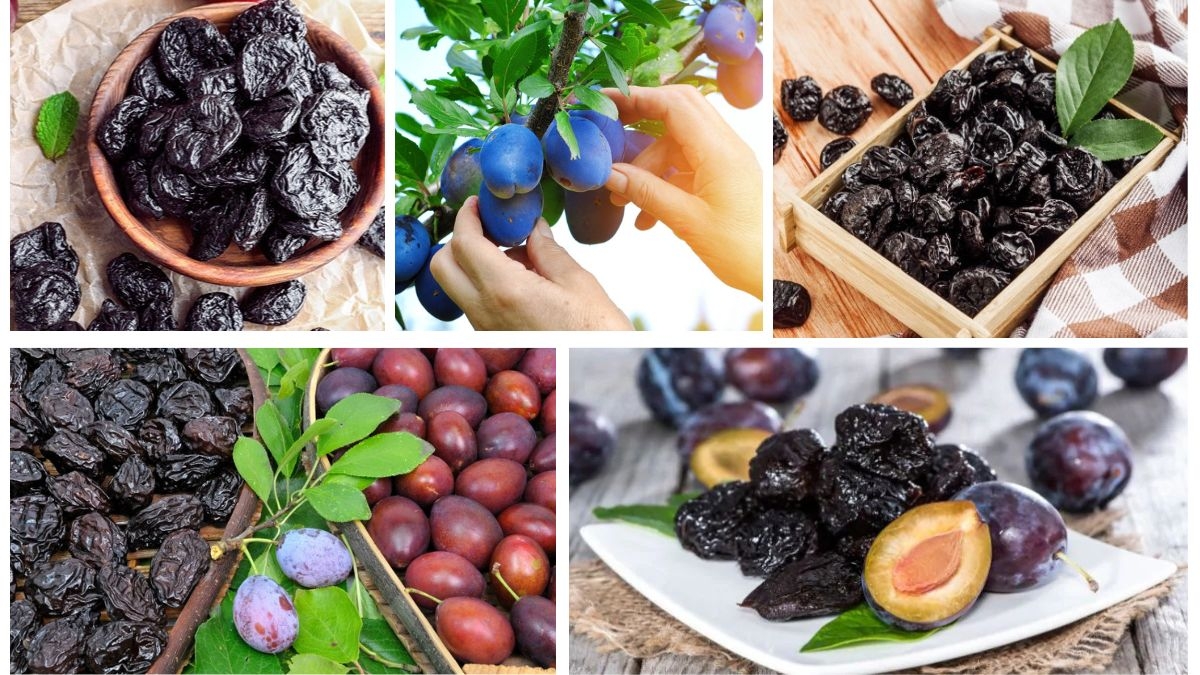 Which Country Is the Largest Prune Importer in the World?