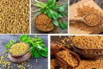 Which Country Is the Largest Fenugreek Producer in the World?