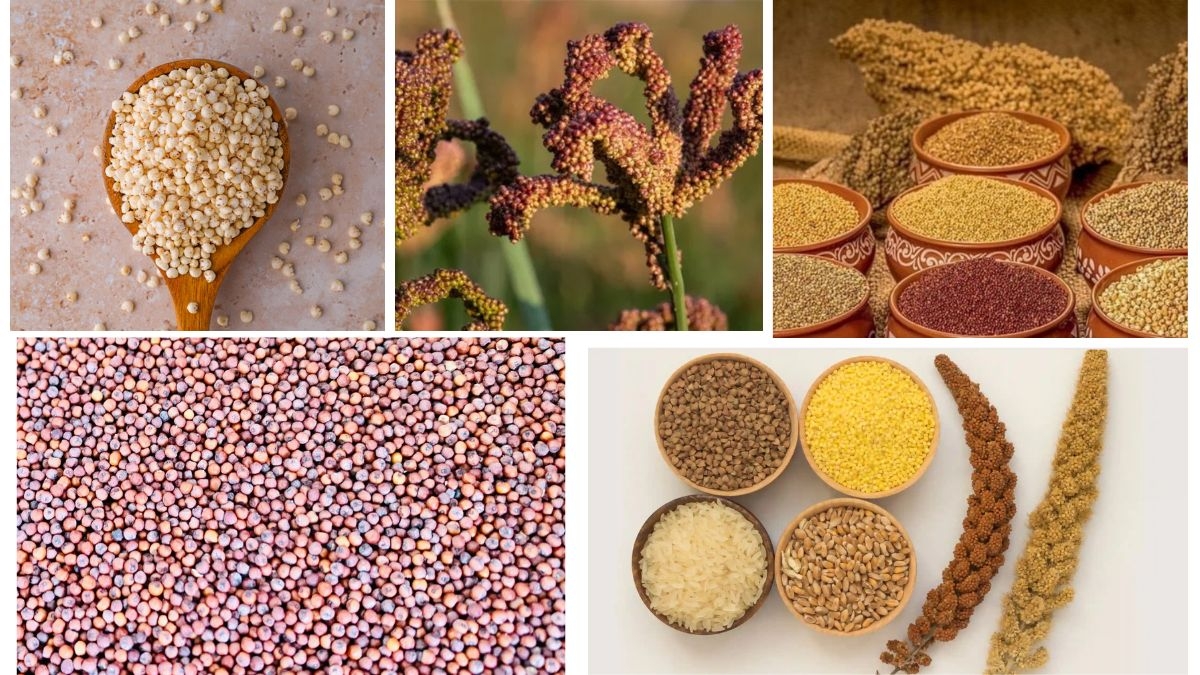 Which Country Is the Largest Millet Producer in the World?